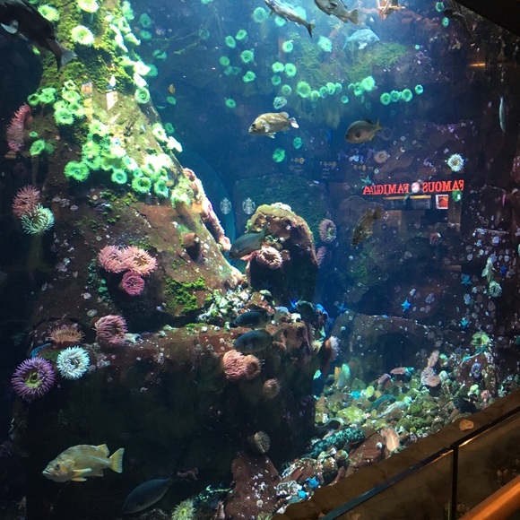 Meet your Posher, Laura - Picture 1 of 1